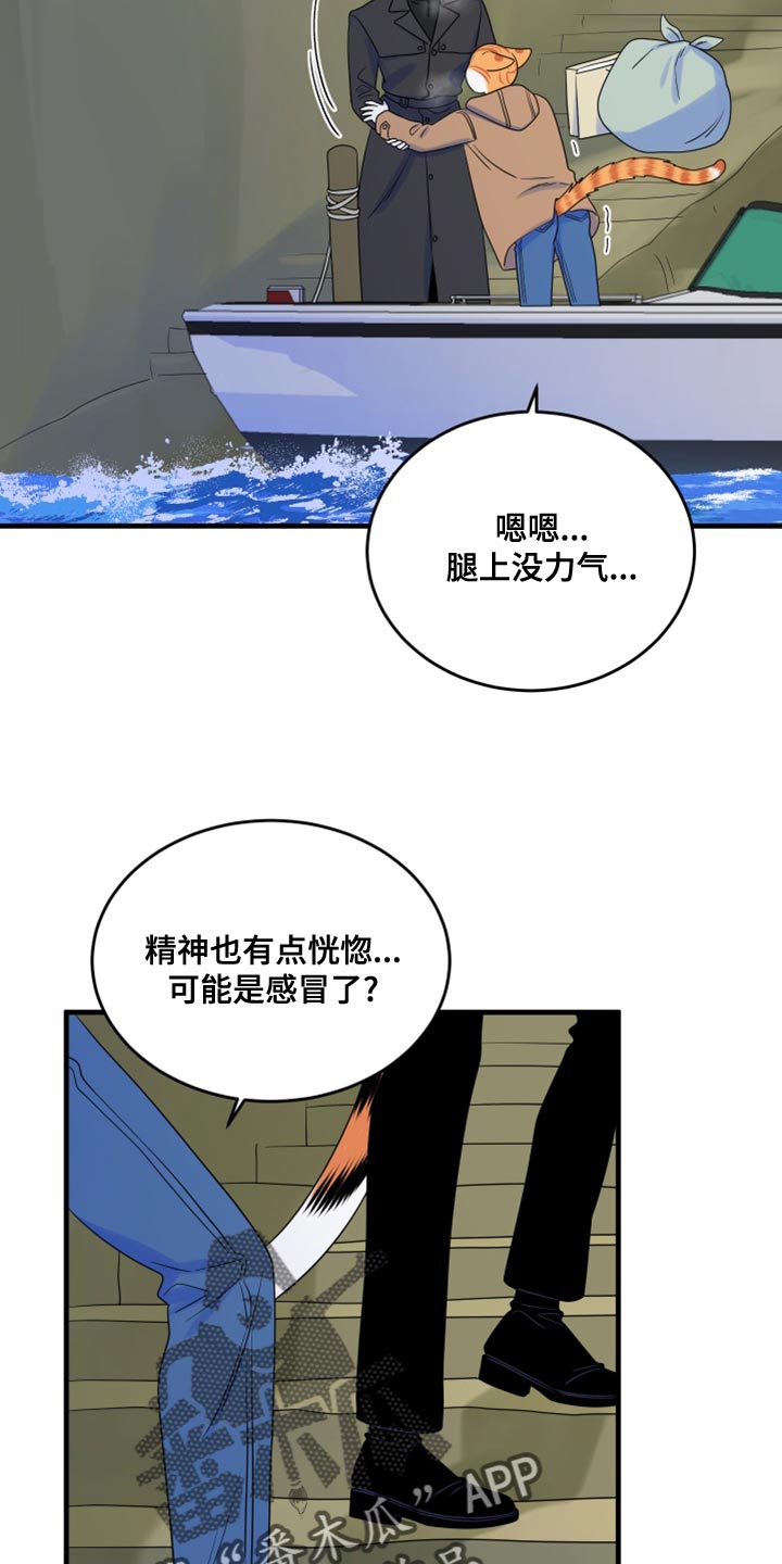 《灵猫欧米伽》漫画最新章节第103章：【第二季】你身上有香味免费下拉式在线观看章节第【18】张图片