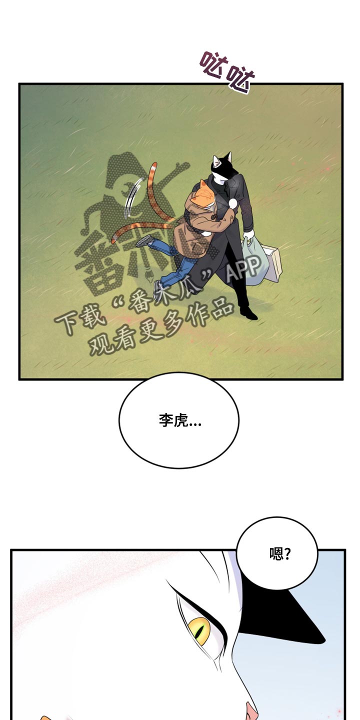 《灵猫欧米伽》漫画最新章节第103章：【第二季】你身上有香味免费下拉式在线观看章节第【10】张图片