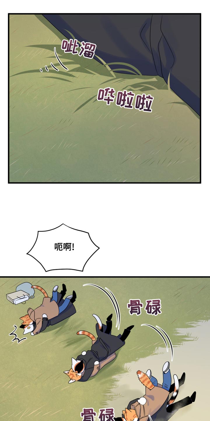 《灵猫欧米伽》漫画最新章节第103章：【第二季】你身上有香味免费下拉式在线观看章节第【6】张图片