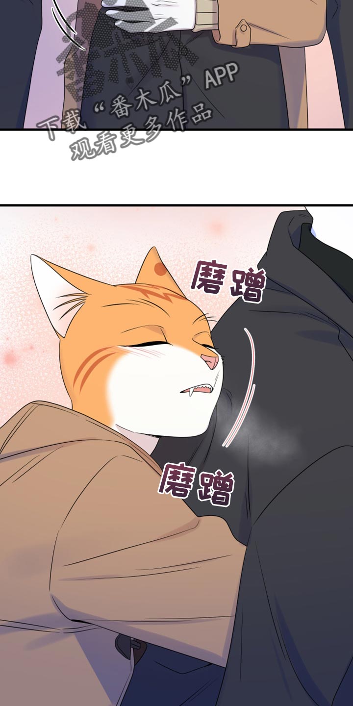 《灵猫欧米伽》漫画最新章节第103章：【第二季】你身上有香味免费下拉式在线观看章节第【15】张图片