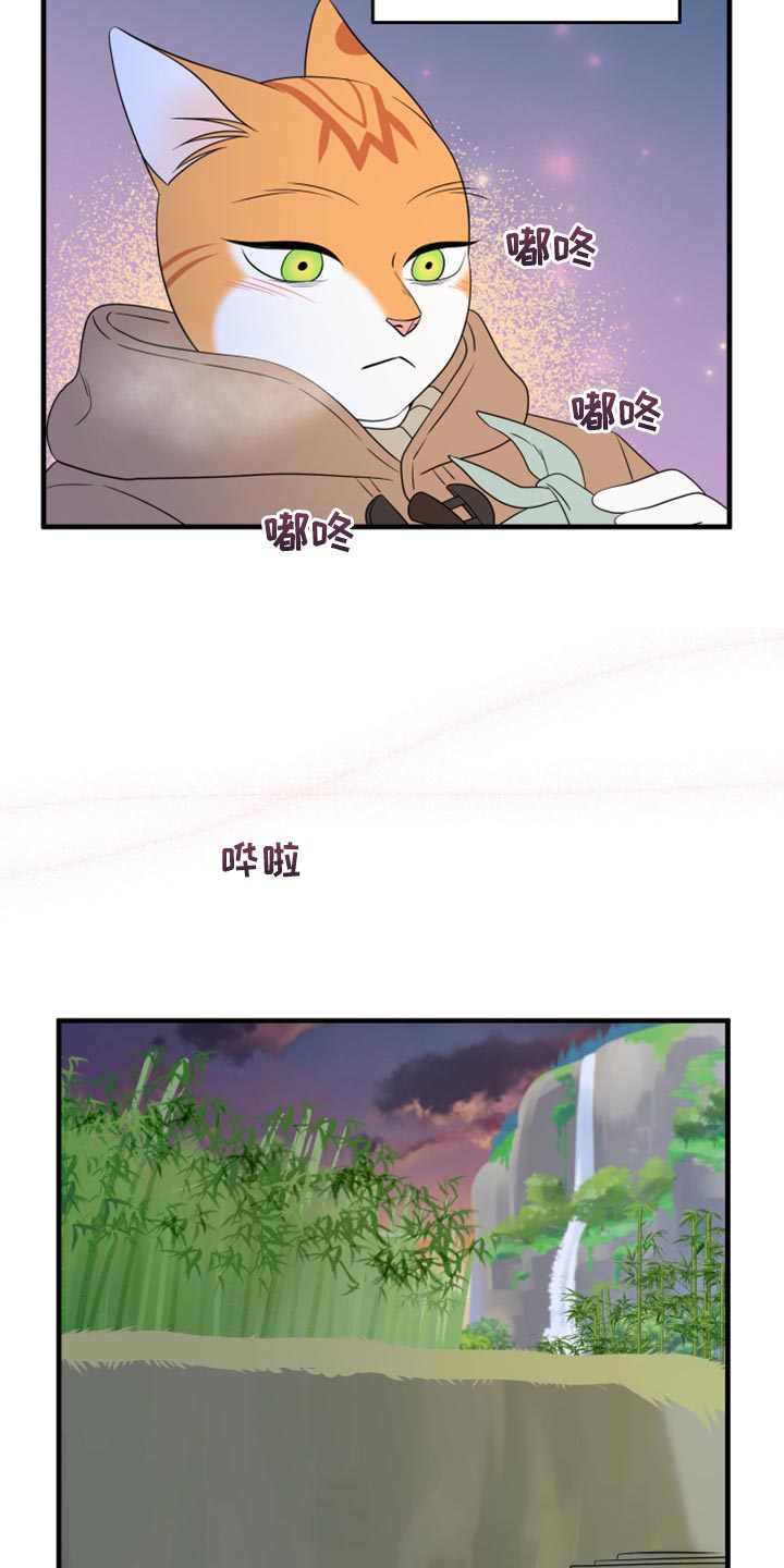 《灵猫欧米伽》漫画最新章节第103章：【第二季】你身上有香味免费下拉式在线观看章节第【21】张图片