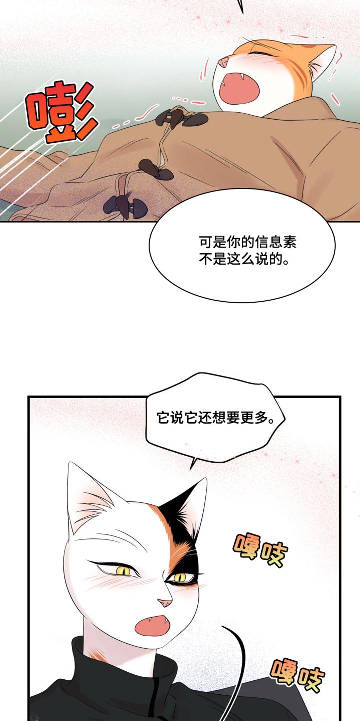 《灵猫欧米伽》漫画最新章节第104章：【第二季】更重要的事免费下拉式在线观看章节第【5】张图片