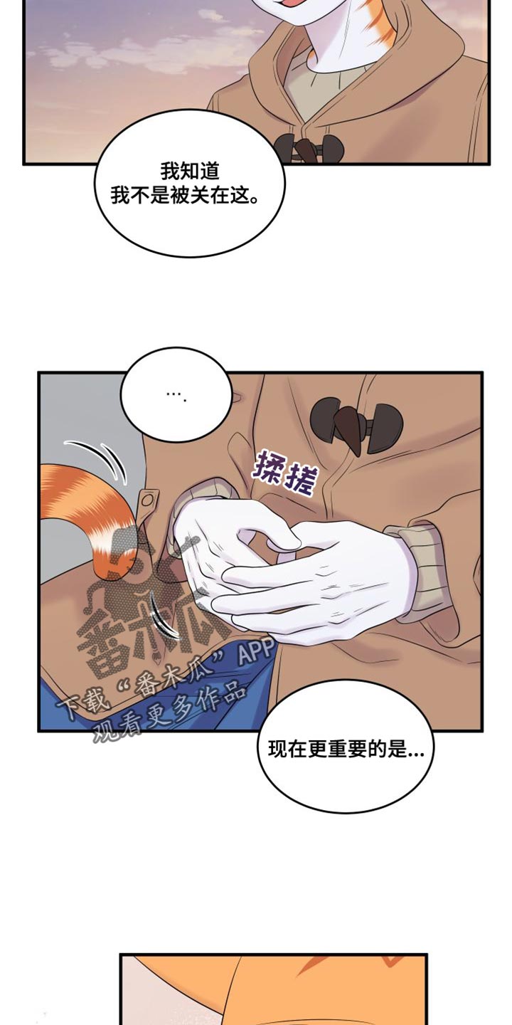 《灵猫欧米伽》漫画最新章节第104章：【第二季】更重要的事免费下拉式在线观看章节第【21】张图片