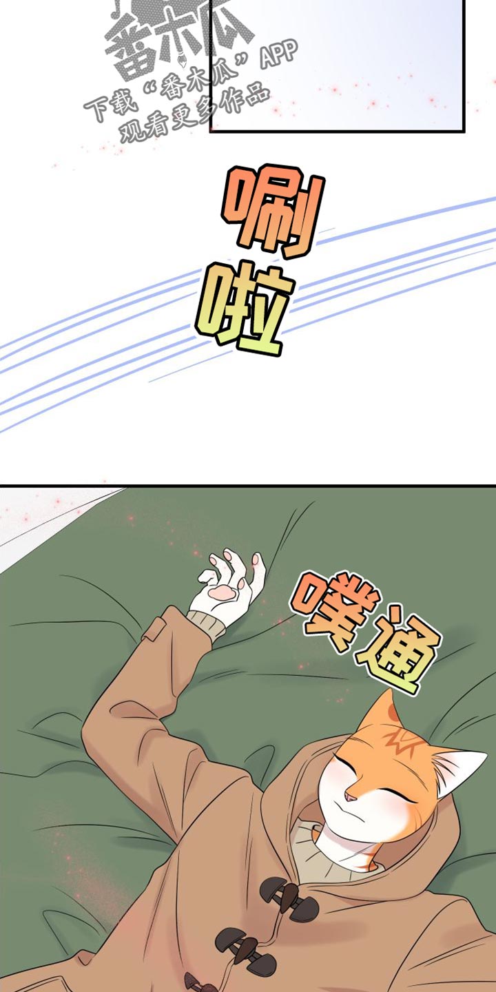 《灵猫欧米伽》漫画最新章节第104章：【第二季】更重要的事免费下拉式在线观看章节第【10】张图片