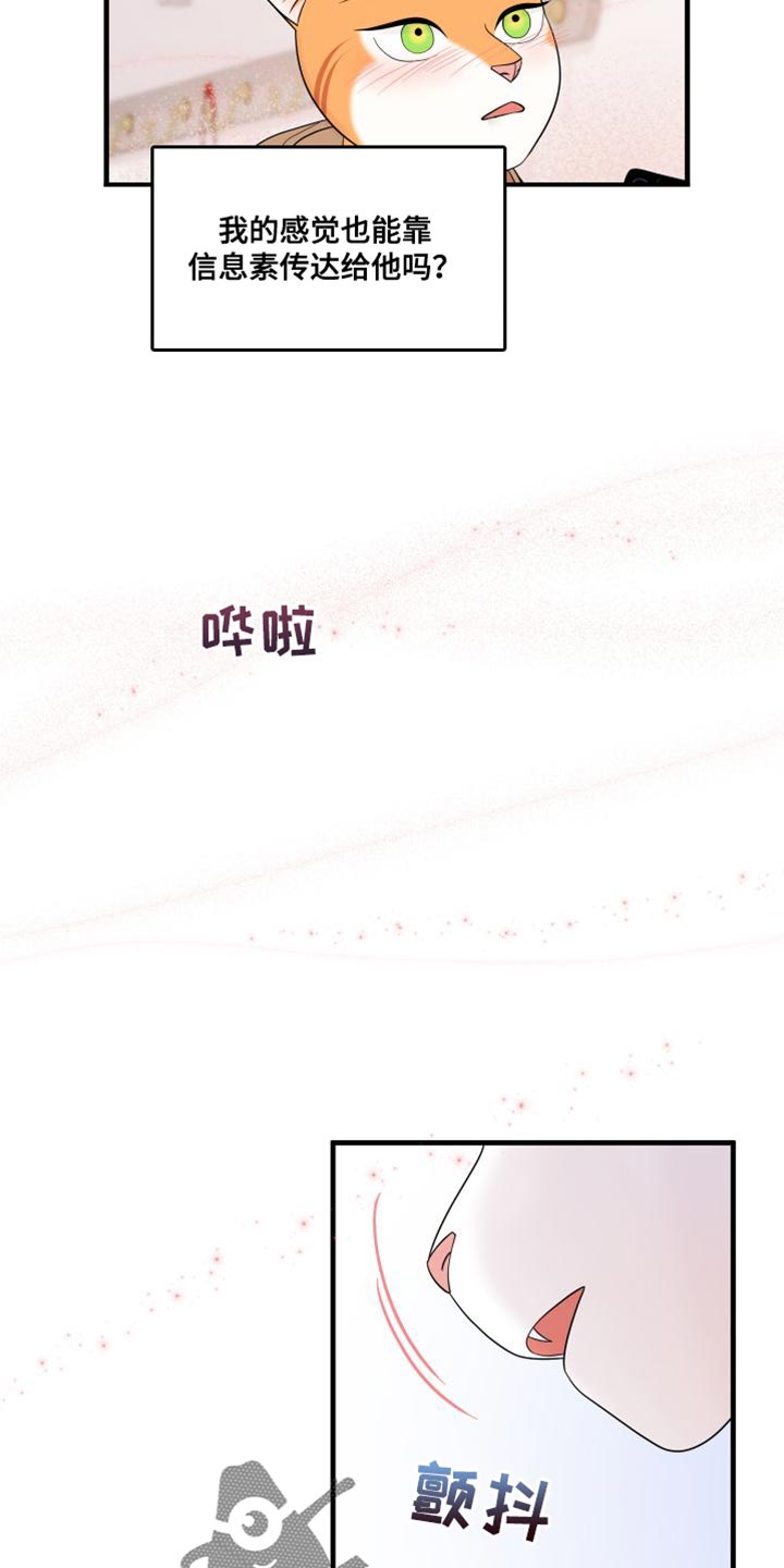 《灵猫欧米伽》漫画最新章节第104章：【第二季】更重要的事免费下拉式在线观看章节第【11】张图片