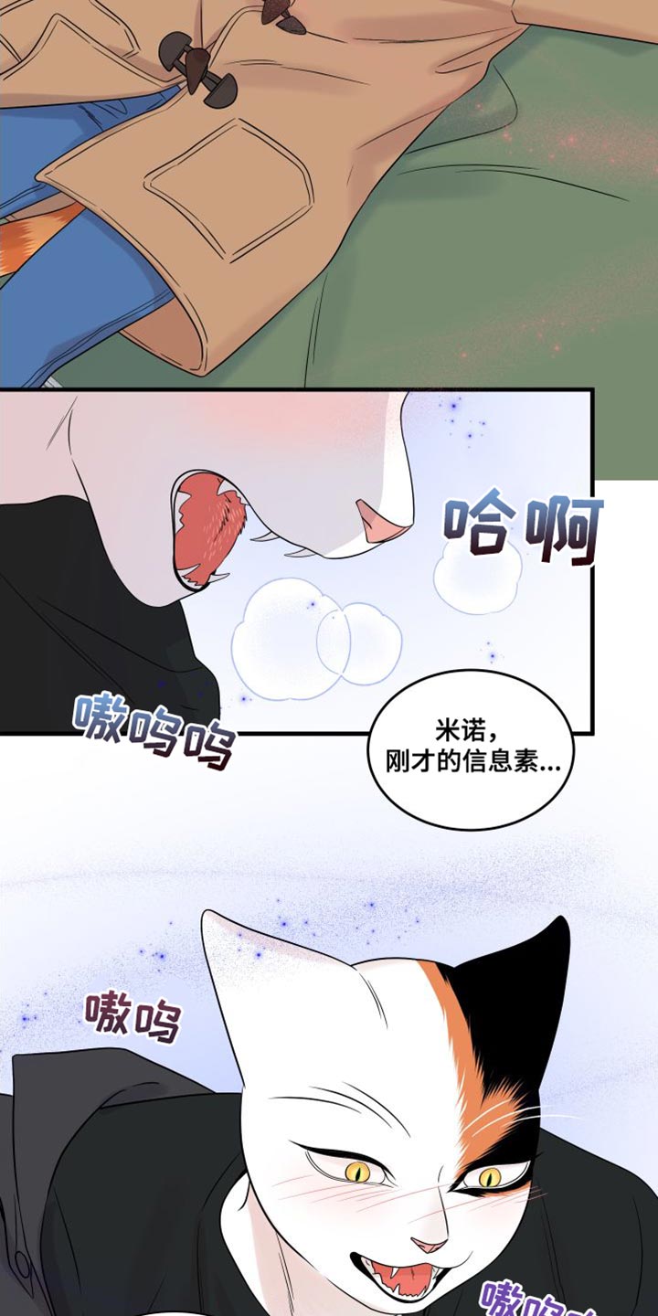 《灵猫欧米伽》漫画最新章节第104章：【第二季】更重要的事免费下拉式在线观看章节第【9】张图片