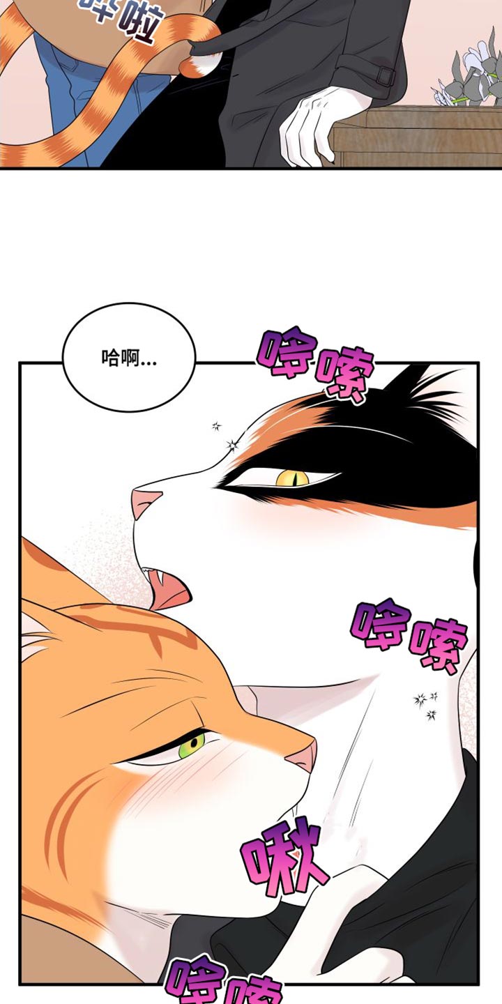 《灵猫欧米伽》漫画最新章节第104章：【第二季】更重要的事免费下拉式在线观看章节第【17】张图片