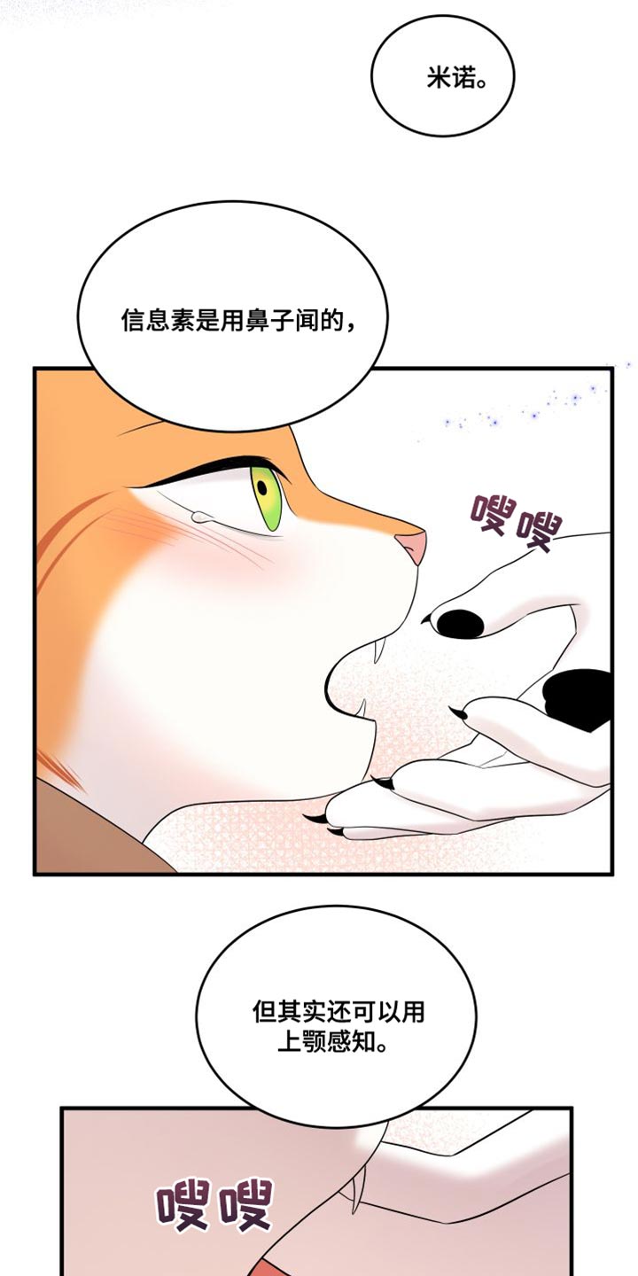 《灵猫欧米伽》漫画最新章节第104章：【第二季】更重要的事免费下拉式在线观看章节第【15】张图片