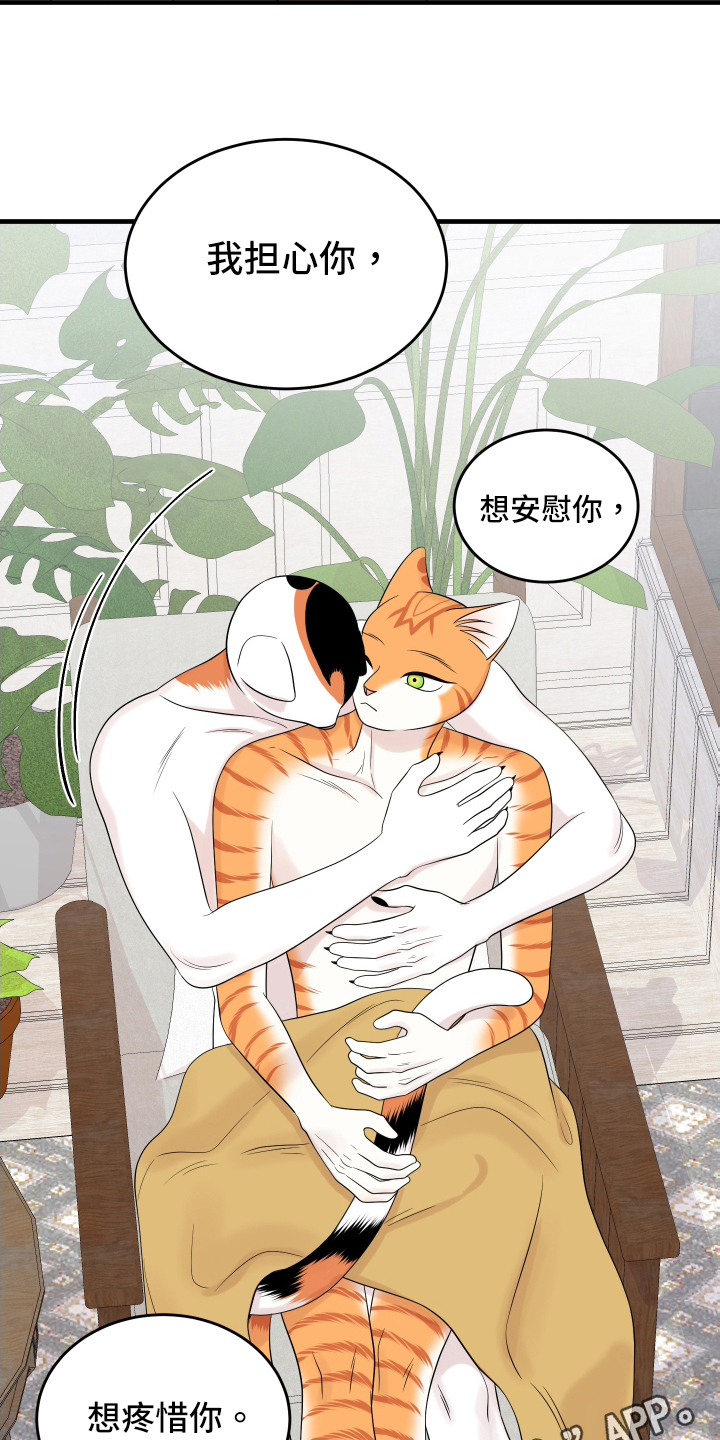 《灵猫欧米伽》漫画最新章节第105章：【第二季】分析免费下拉式在线观看章节第【2】张图片