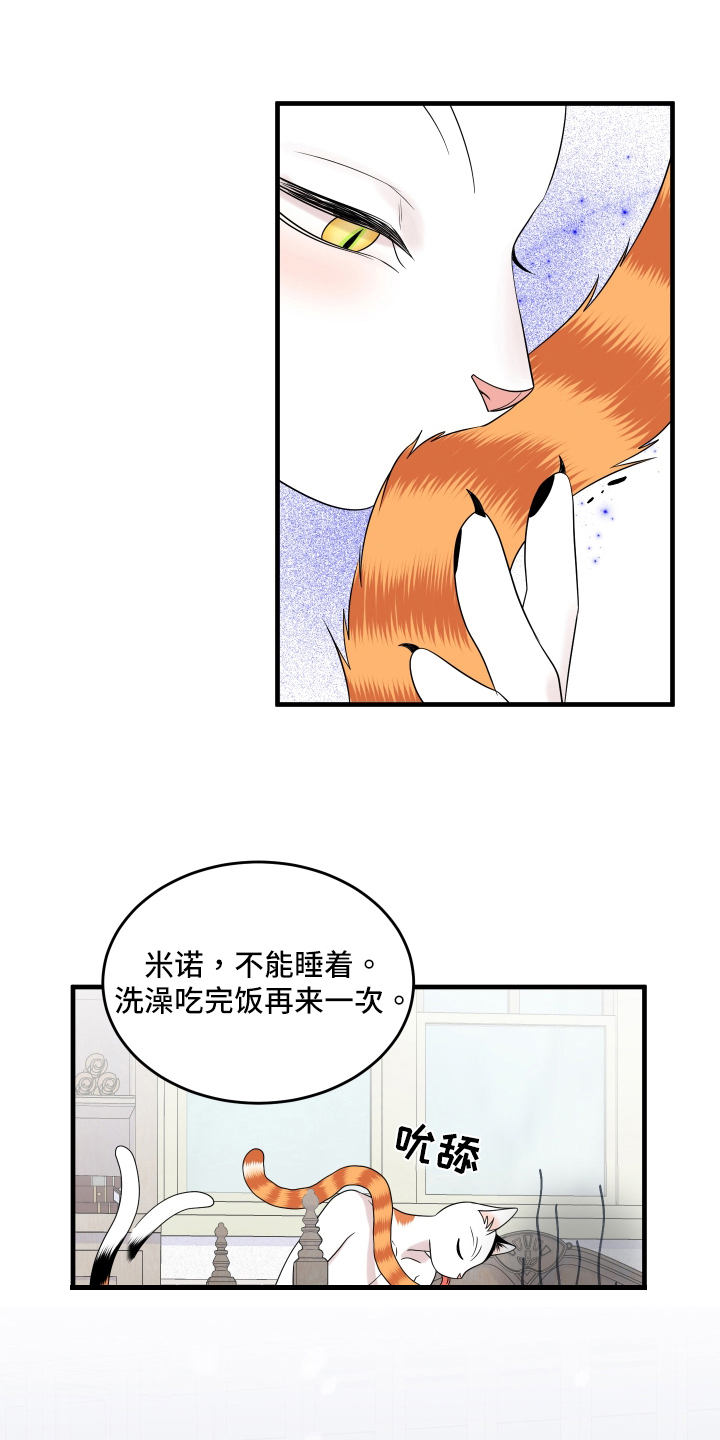 《灵猫欧米伽》漫画最新章节第105章：【第二季】分析免费下拉式在线观看章节第【14】张图片