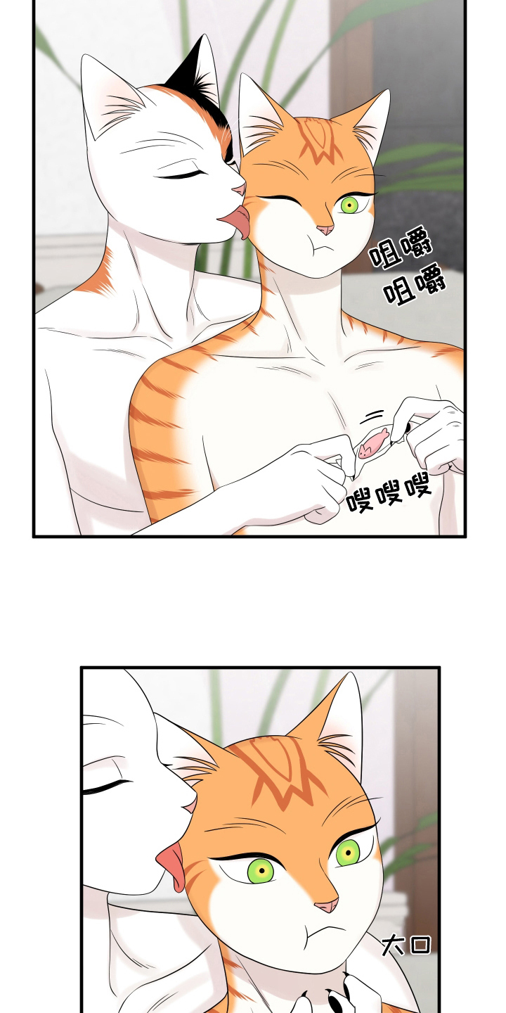 《灵猫欧米伽》漫画最新章节第105章：【第二季】分析免费下拉式在线观看章节第【11】张图片