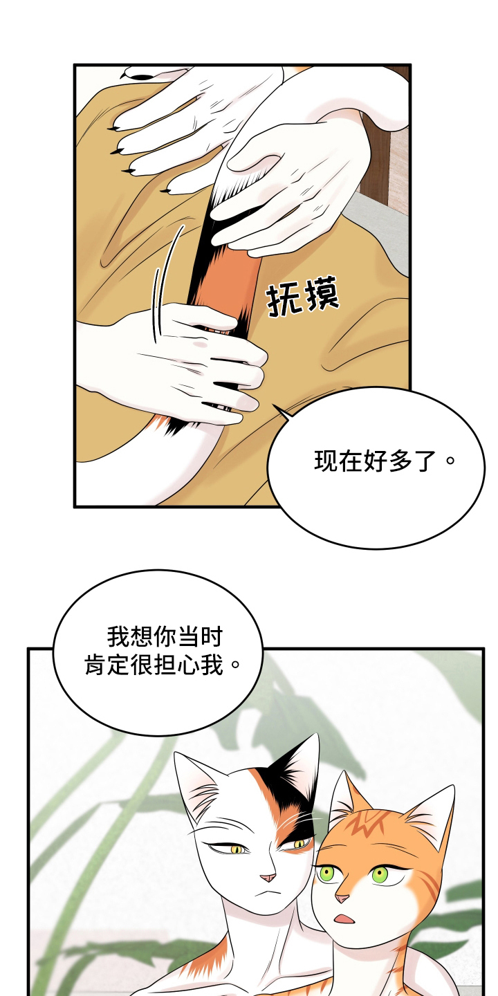 《灵猫欧米伽》漫画最新章节第105章：【第二季】分析免费下拉式在线观看章节第【6】张图片