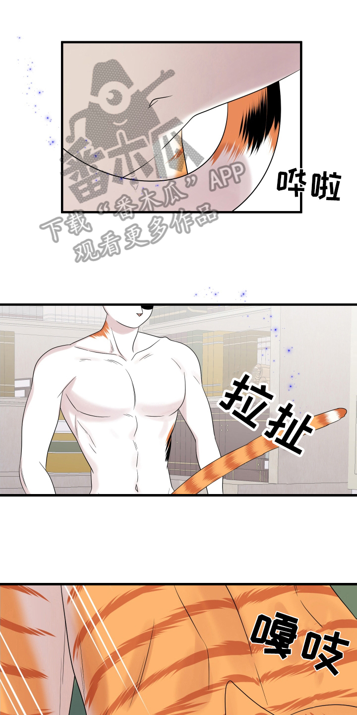 《灵猫欧米伽》漫画最新章节第105章：【第二季】分析免费下拉式在线观看章节第【17】张图片