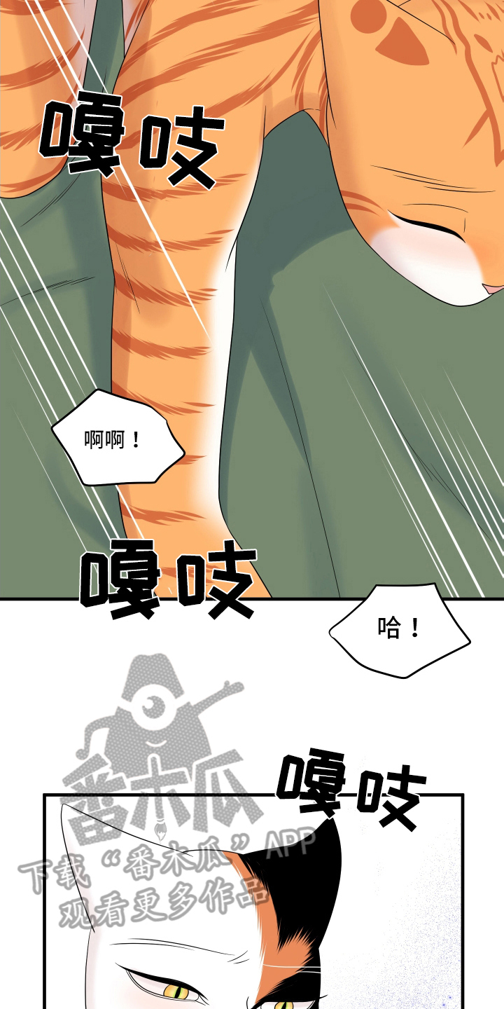 《灵猫欧米伽》漫画最新章节第105章：【第二季】分析免费下拉式在线观看章节第【16】张图片