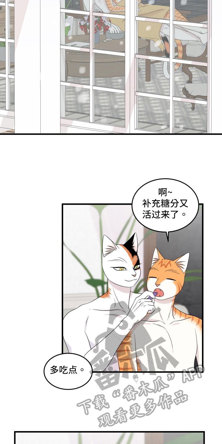 《灵猫欧米伽》漫画最新章节第105章：【第二季】分析免费下拉式在线观看章节第【12】张图片