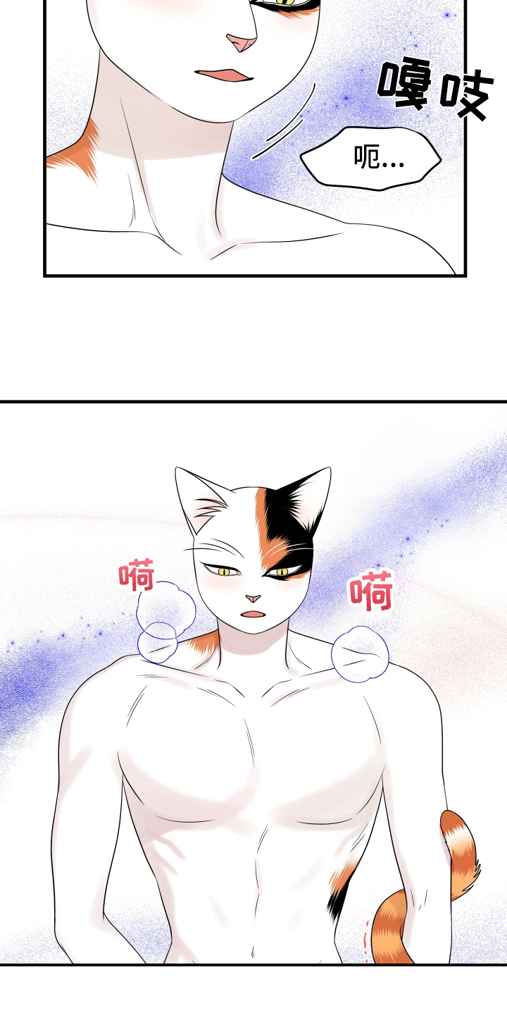 《灵猫欧米伽》漫画最新章节第105章：【第二季】分析免费下拉式在线观看章节第【15】张图片