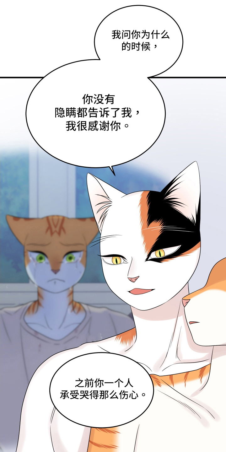 《灵猫欧米伽》漫画最新章节第105章：【第二季】分析免费下拉式在线观看章节第【3】张图片