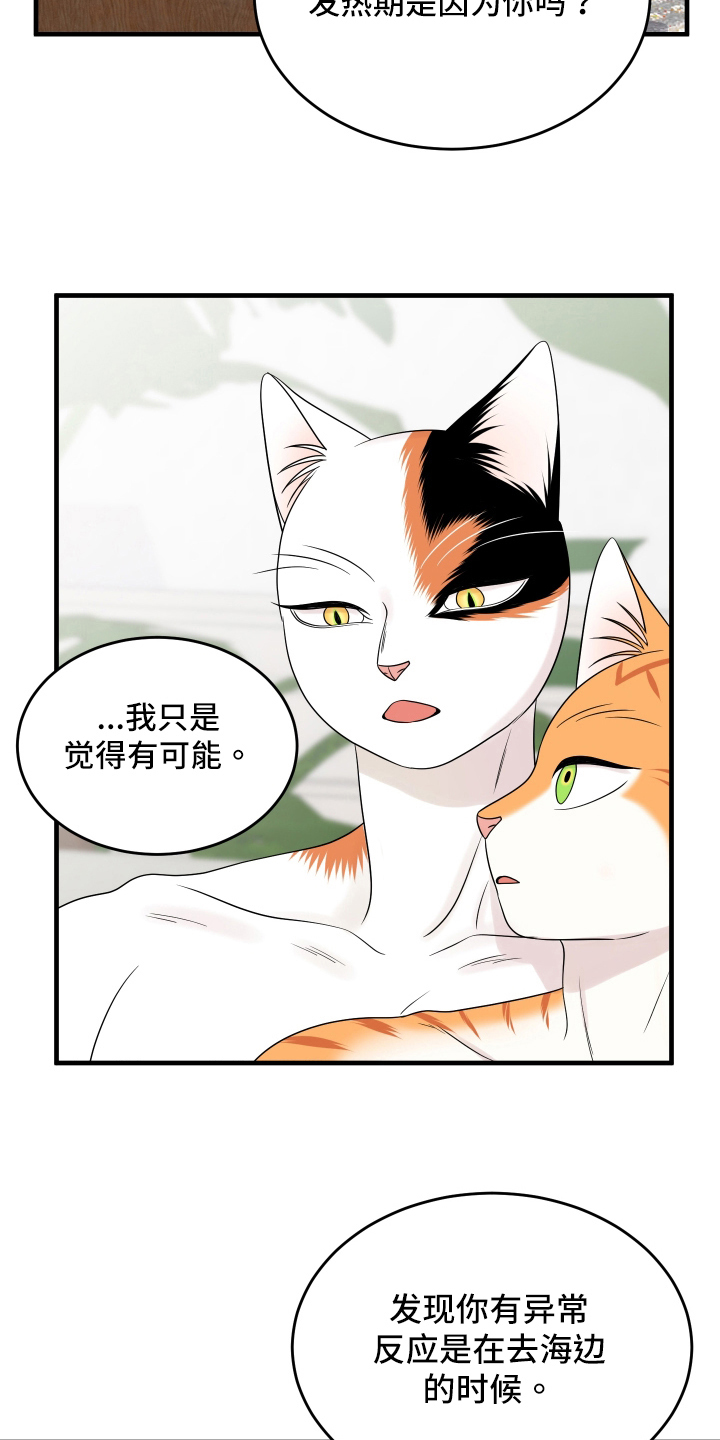 《灵猫欧米伽》漫画最新章节第105章：【第二季】分析免费下拉式在线观看章节第【9】张图片