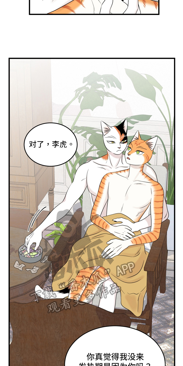 《灵猫欧米伽》漫画最新章节第105章：【第二季】分析免费下拉式在线观看章节第【10】张图片