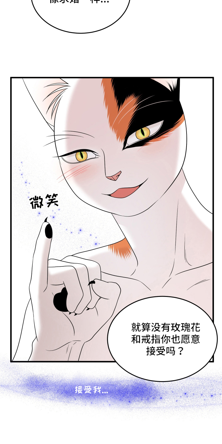 灵猫欧米伽-第106章：【第二季】求婚全彩韩漫标签