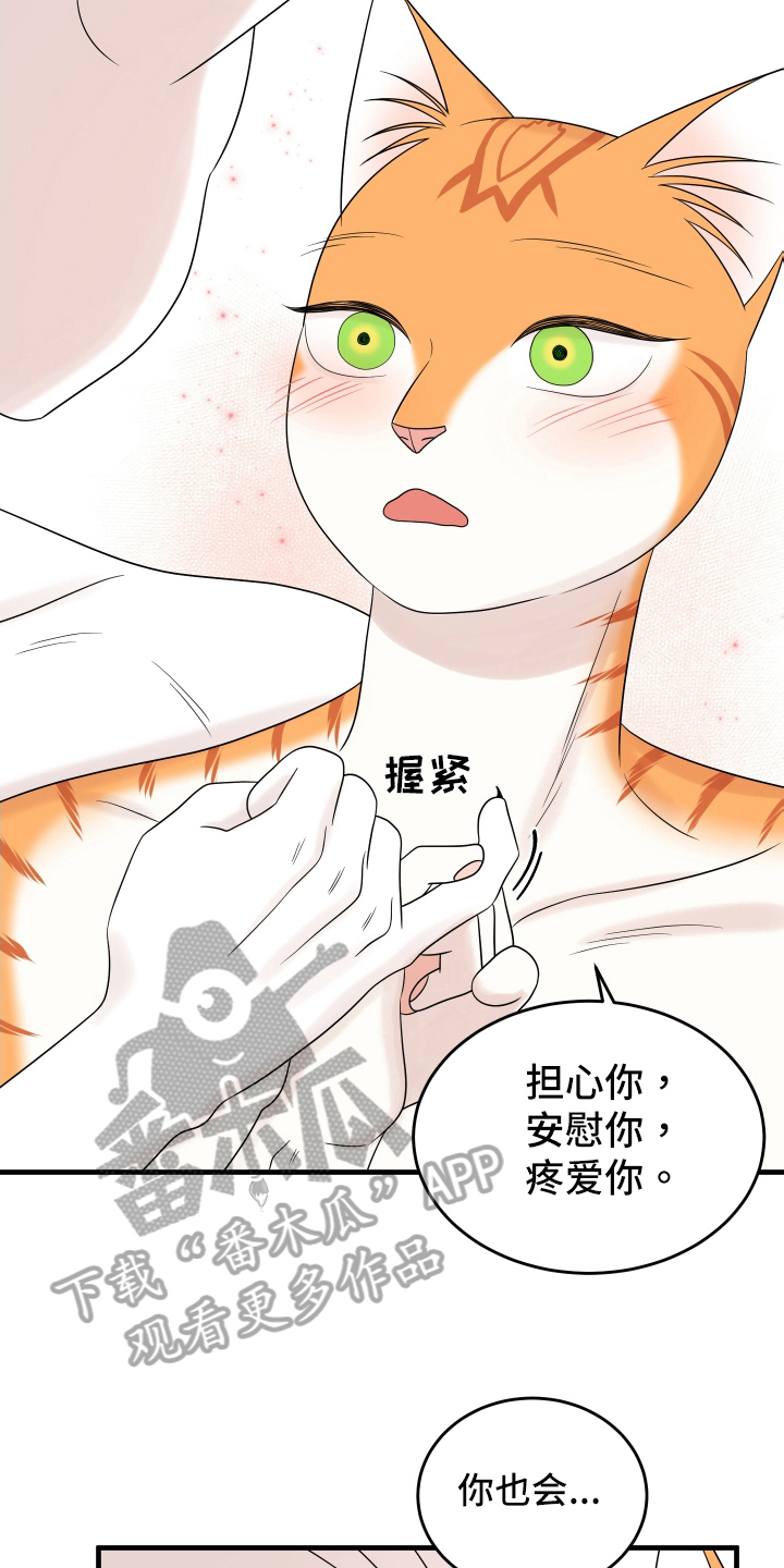 《灵猫欧米伽》漫画最新章节第106章：【第二季】求婚免费下拉式在线观看章节第【12】张图片