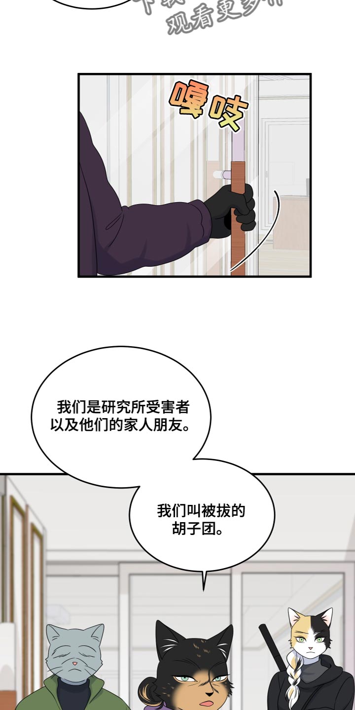 《灵猫欧米伽》漫画最新章节第108章：【第二季】我很强大免费下拉式在线观看章节第【2】张图片