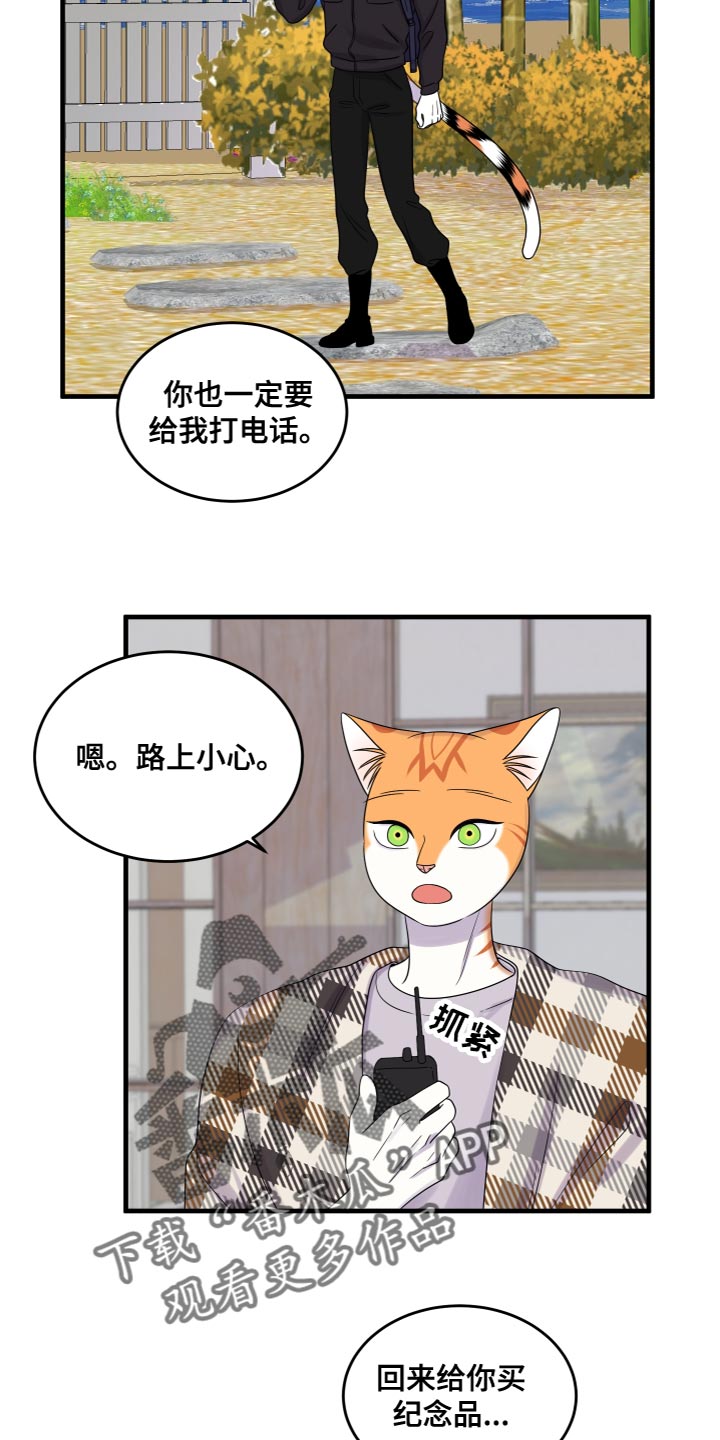 灵猫欧米伽-第108章：【第二季】我很强大全彩韩漫标签