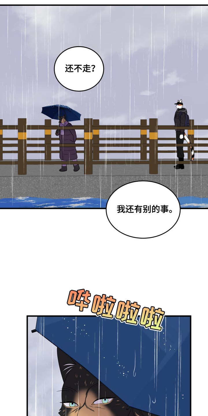 《灵猫欧米伽》漫画最新章节第108章：【第二季】我很强大免费下拉式在线观看章节第【7】张图片