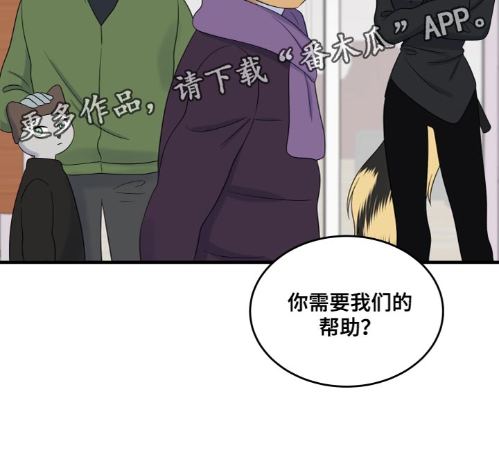 《灵猫欧米伽》漫画最新章节第108章：【第二季】我很强大免费下拉式在线观看章节第【1】张图片