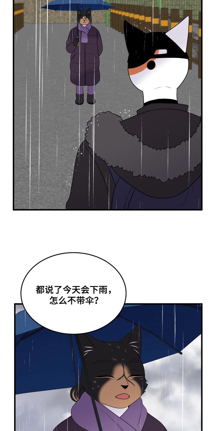 《灵猫欧米伽》漫画最新章节第108章：【第二季】我很强大免费下拉式在线观看章节第【9】张图片