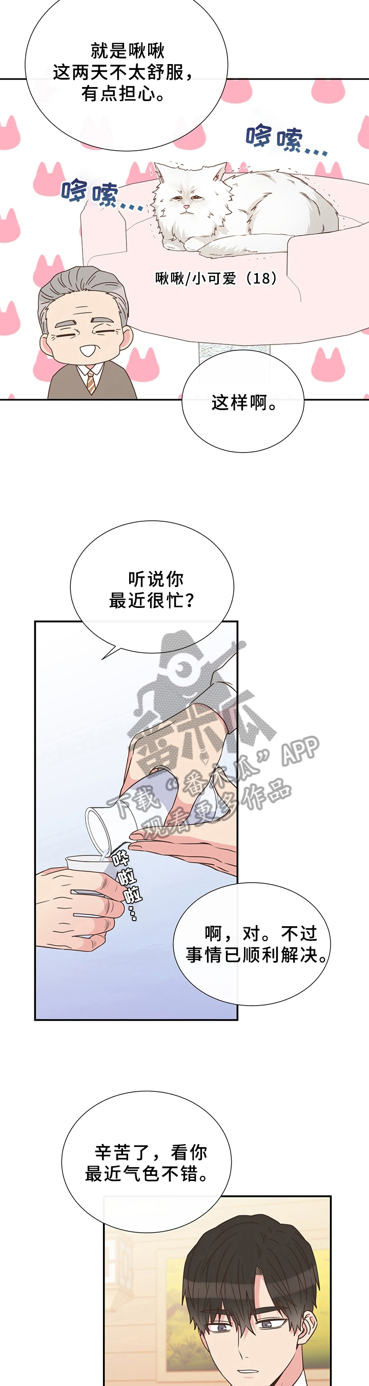 《美妙初恋》漫画最新章节第17章：猜测免费下拉式在线观看章节第【5】张图片