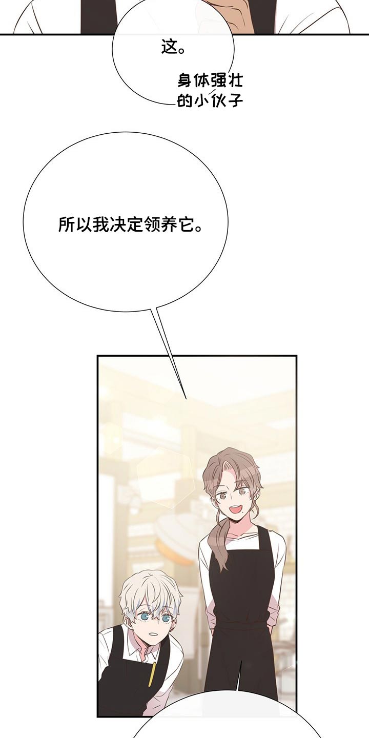 《美妙初恋》漫画最新章节第51章：回国免费下拉式在线观看章节第【19】张图片