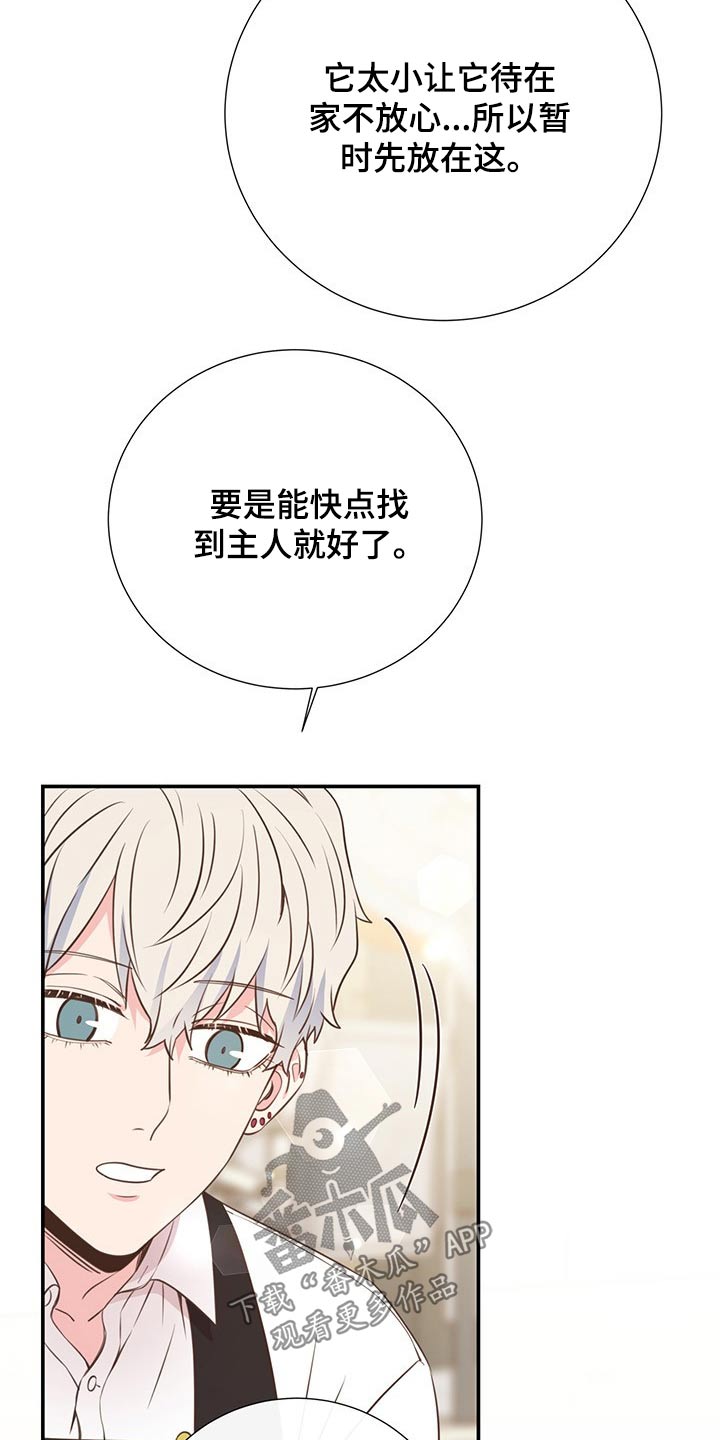 《美妙初恋》漫画最新章节第51章：回国免费下拉式在线观看章节第【18】张图片