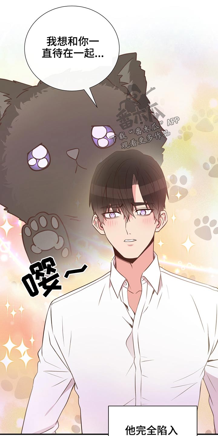 《美妙初恋》漫画最新章节第60章：猫咪免费下拉式在线观看章节第【15】张图片