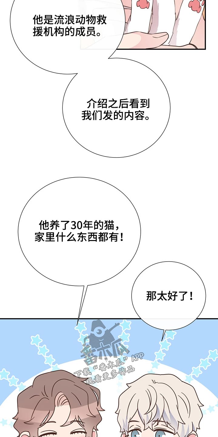 《美妙初恋》漫画最新章节第60章：猫咪免费下拉式在线观看章节第【9】张图片