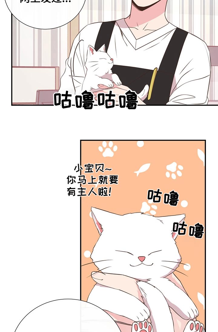 《美妙初恋》漫画最新章节第60章：猫咪免费下拉式在线观看章节第【10】张图片