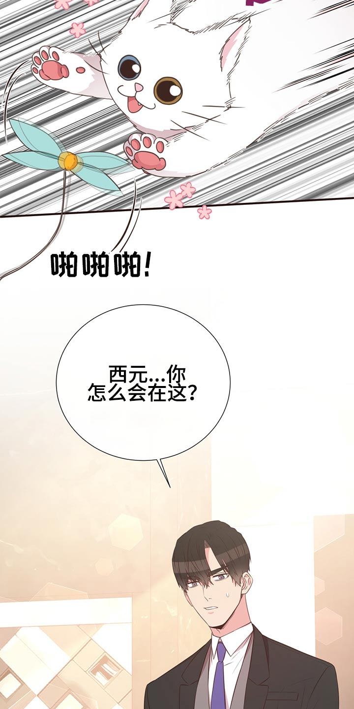 《美妙初恋》漫画最新章节第64章：不想去免费下拉式在线观看章节第【19】张图片