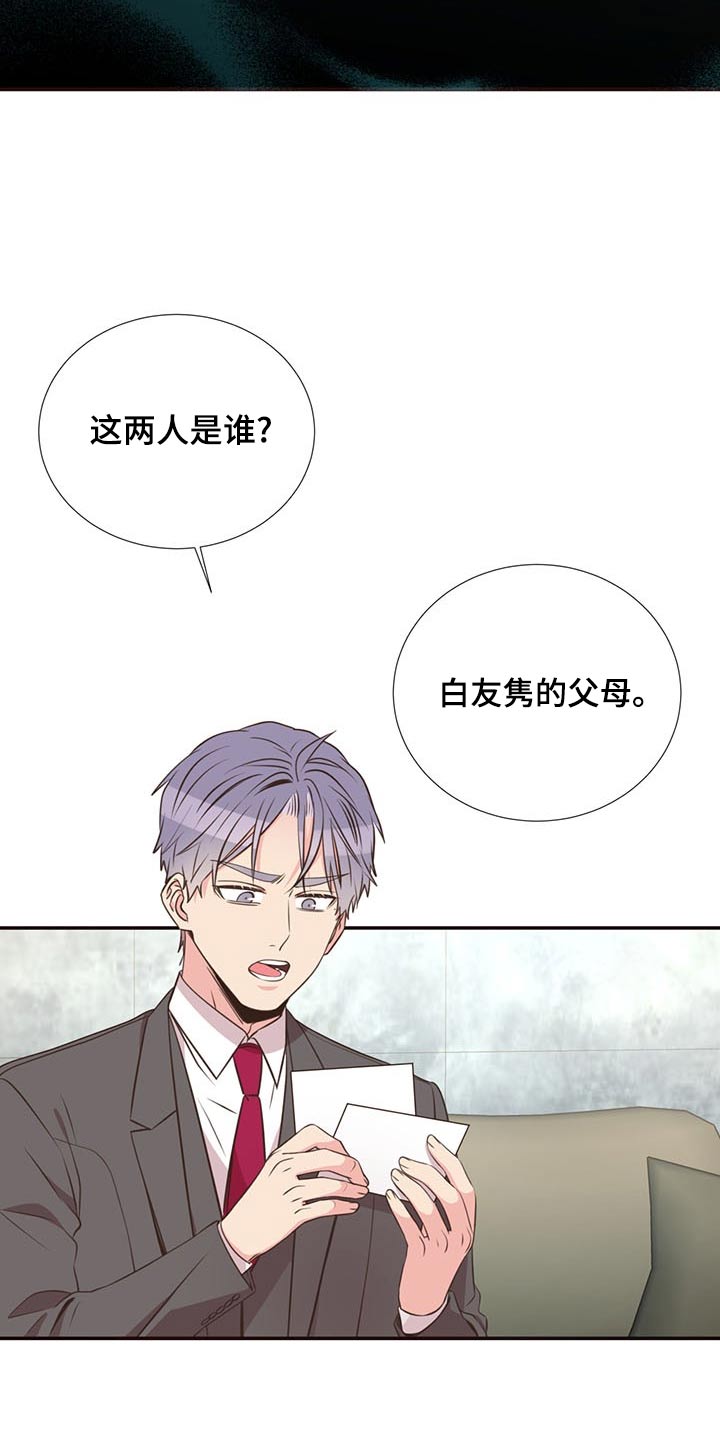 《美妙初恋》漫画最新章节第83章：见面免费下拉式在线观看章节第【8】张图片