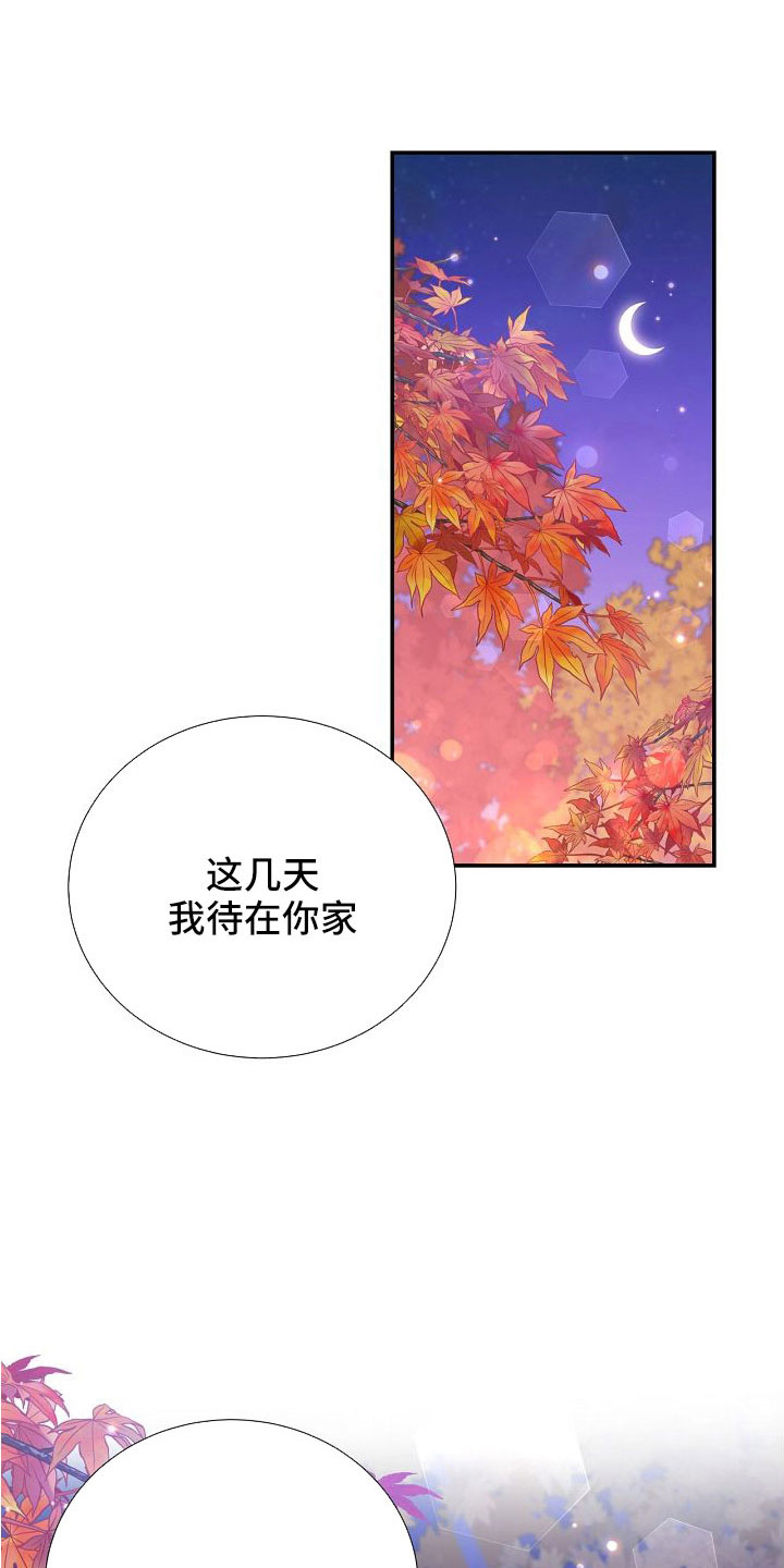 《美妙初恋》漫画最新章节第101章：你疯了吗免费下拉式在线观看章节第【24】张图片