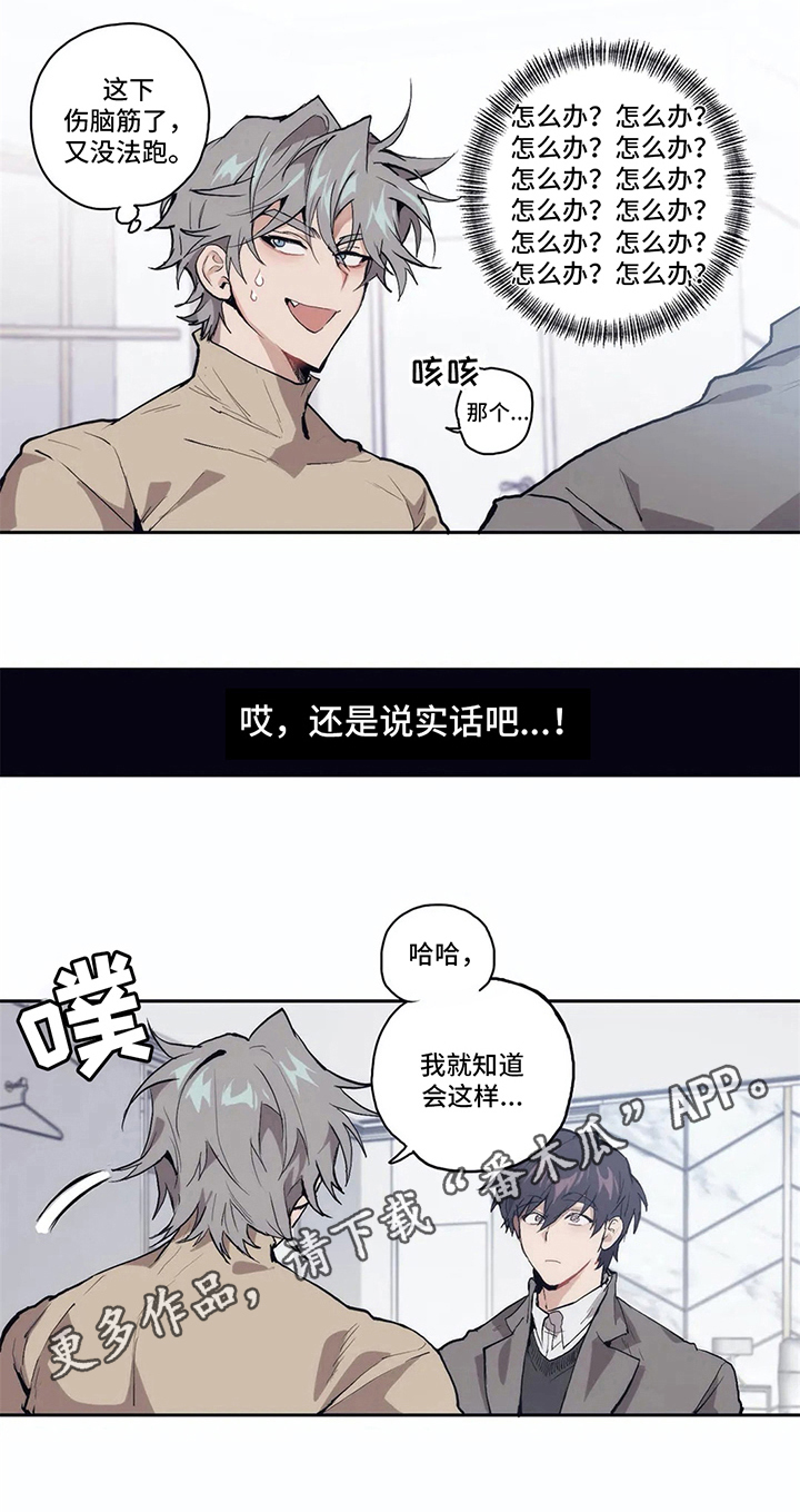 《会员的仆从》漫画最新章节第5章：揭穿免费下拉式在线观看章节第【1】张图片