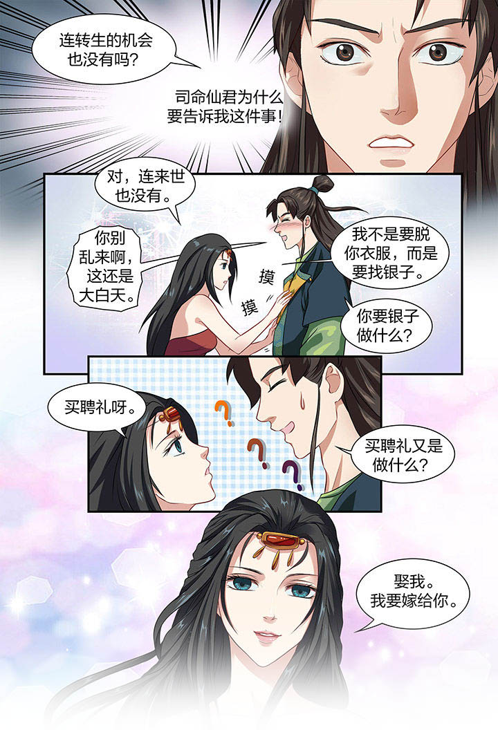 《美人灯笼铺》漫画最新章节第31章：免费下拉式在线观看章节第【2】张图片