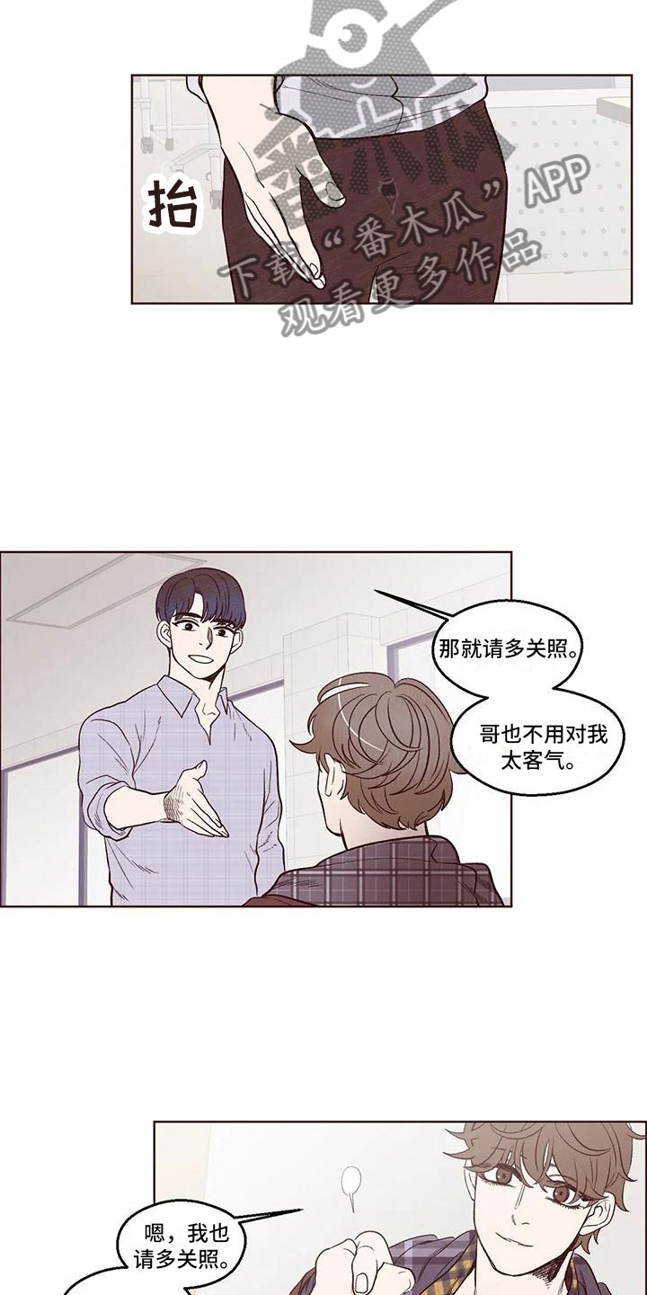 《我的十二位哥哥》漫画最新章节第7章：后知后觉免费下拉式在线观看章节第【5】张图片