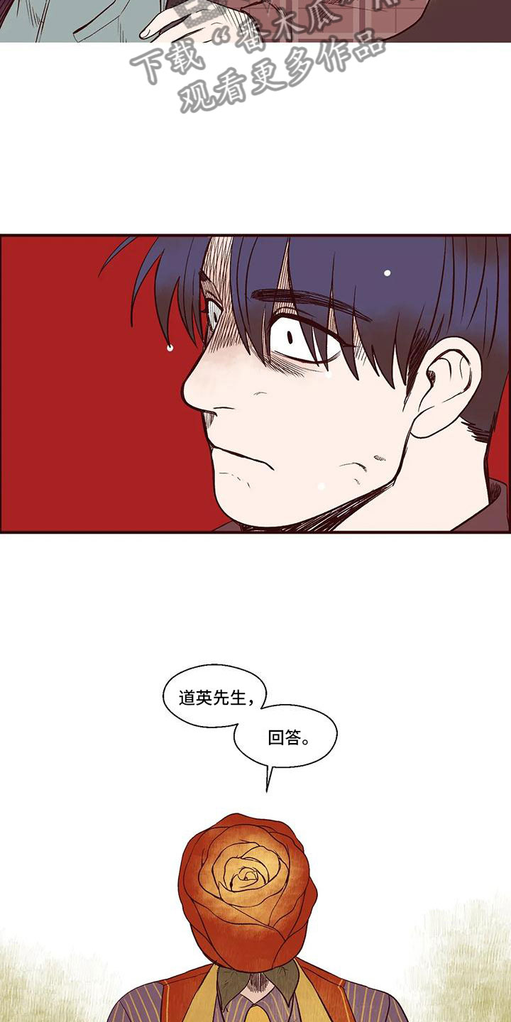 《我的十二位哥哥》漫画最新章节第14章：谁是假的？免费下拉式在线观看章节第【3】张图片