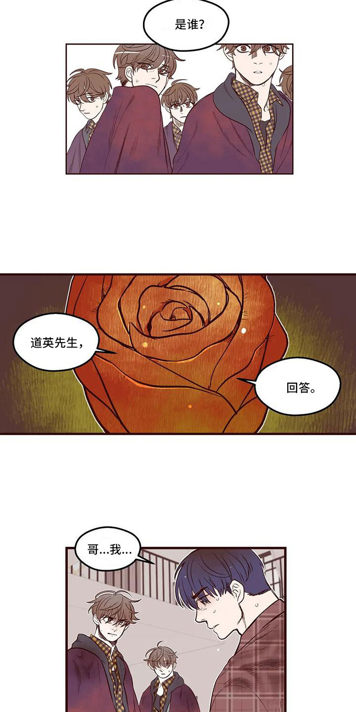 《我的十二位哥哥》漫画最新章节第15章：你是假的免费下拉式在线观看章节第【12】张图片