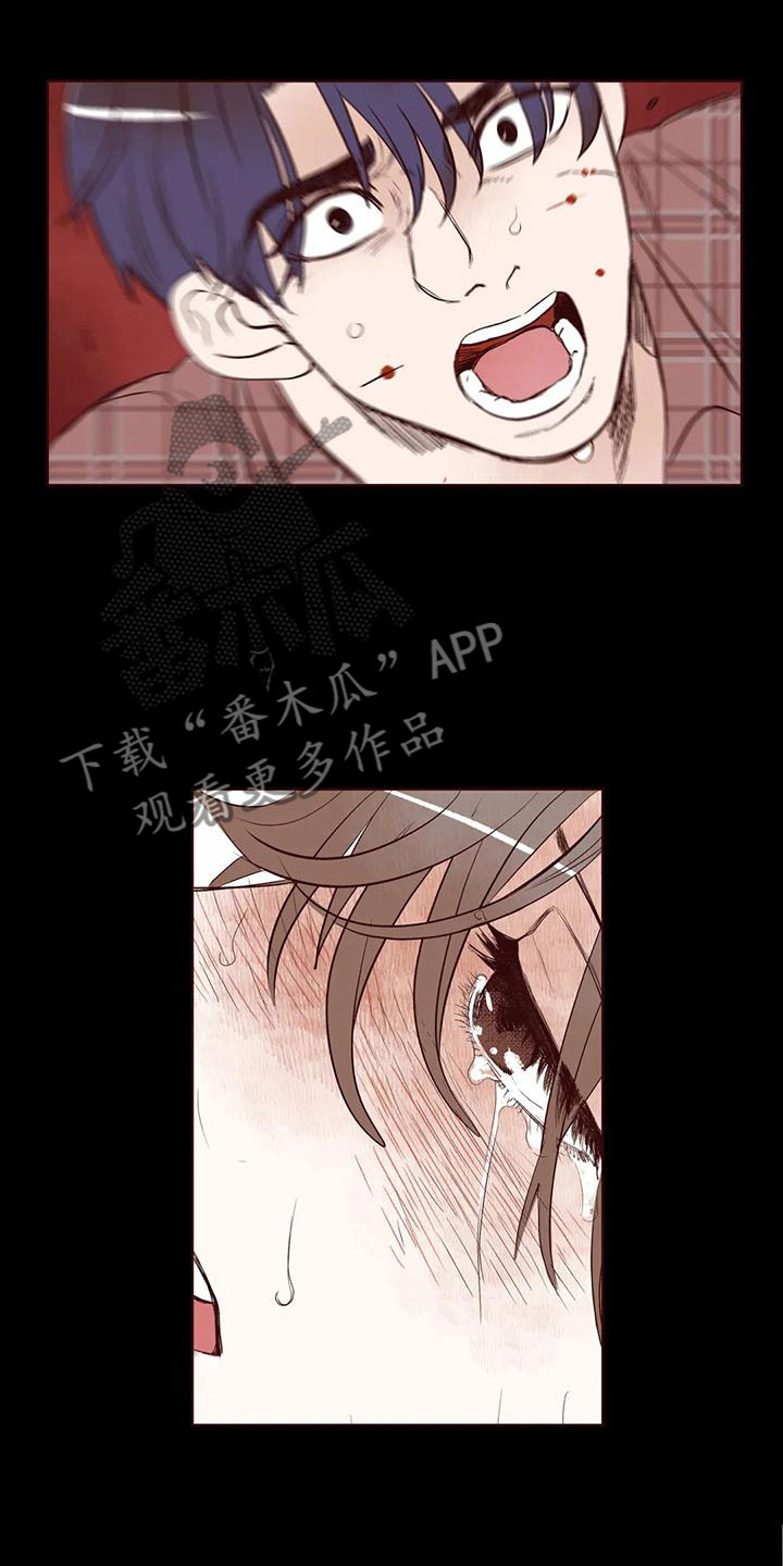 《我的十二位哥哥》漫画最新章节第16章：下场免费下拉式在线观看章节第【3】张图片