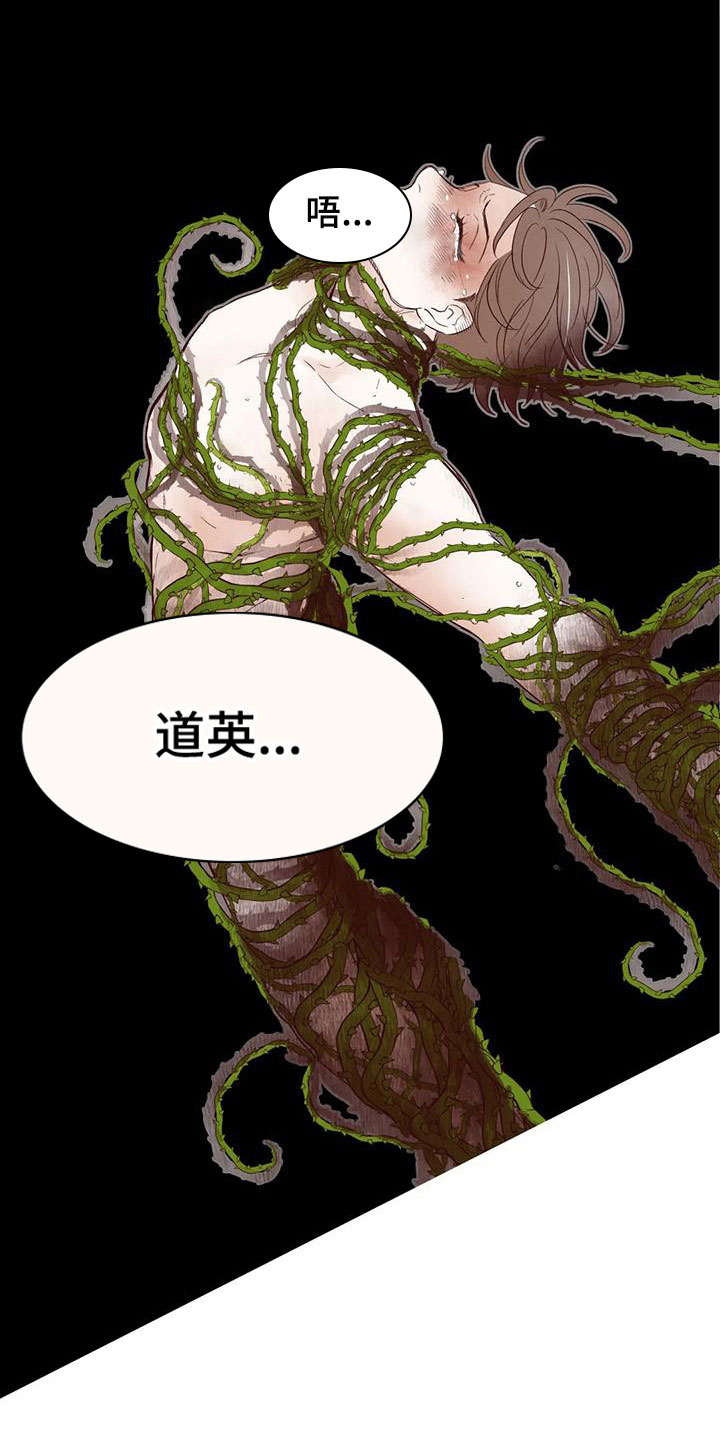 《我的十二位哥哥》漫画最新章节第16章：下场免费下拉式在线观看章节第【2】张图片