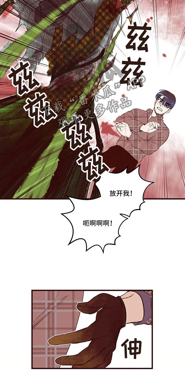 《我的十二位哥哥》漫画最新章节第16章：下场免费下拉式在线观看章节第【12】张图片