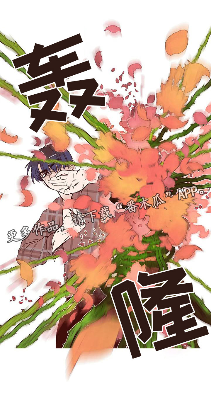 《我的十二位哥哥》漫画最新章节第16章：下场免费下拉式在线观看章节第【1】张图片