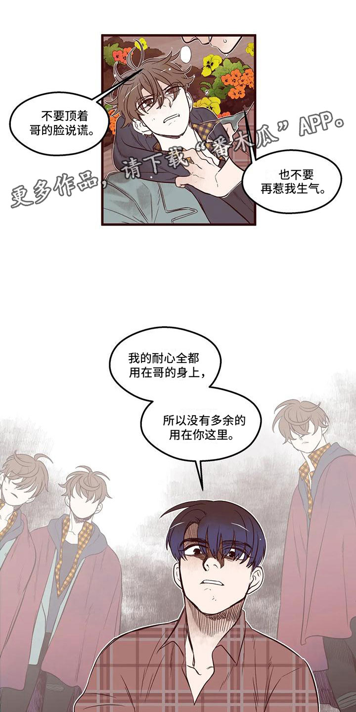 《我的十二位哥哥》漫画最新章节第16章：下场免费下拉式在线观看章节第【16】张图片