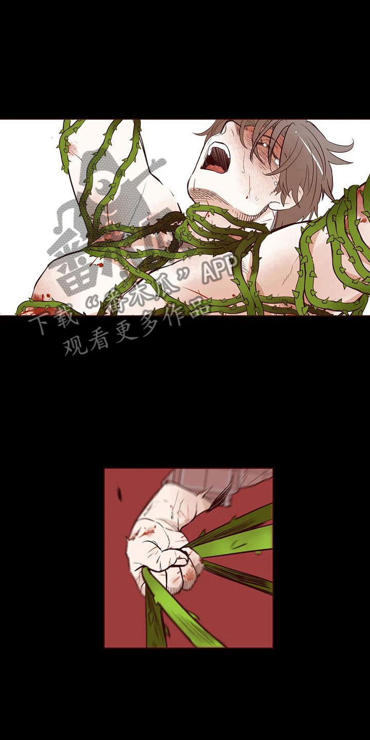 《我的十二位哥哥》漫画最新章节第16章：下场免费下拉式在线观看章节第【4】张图片